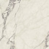 星光大道-蔓藤白（南屯展間）：圖片 7